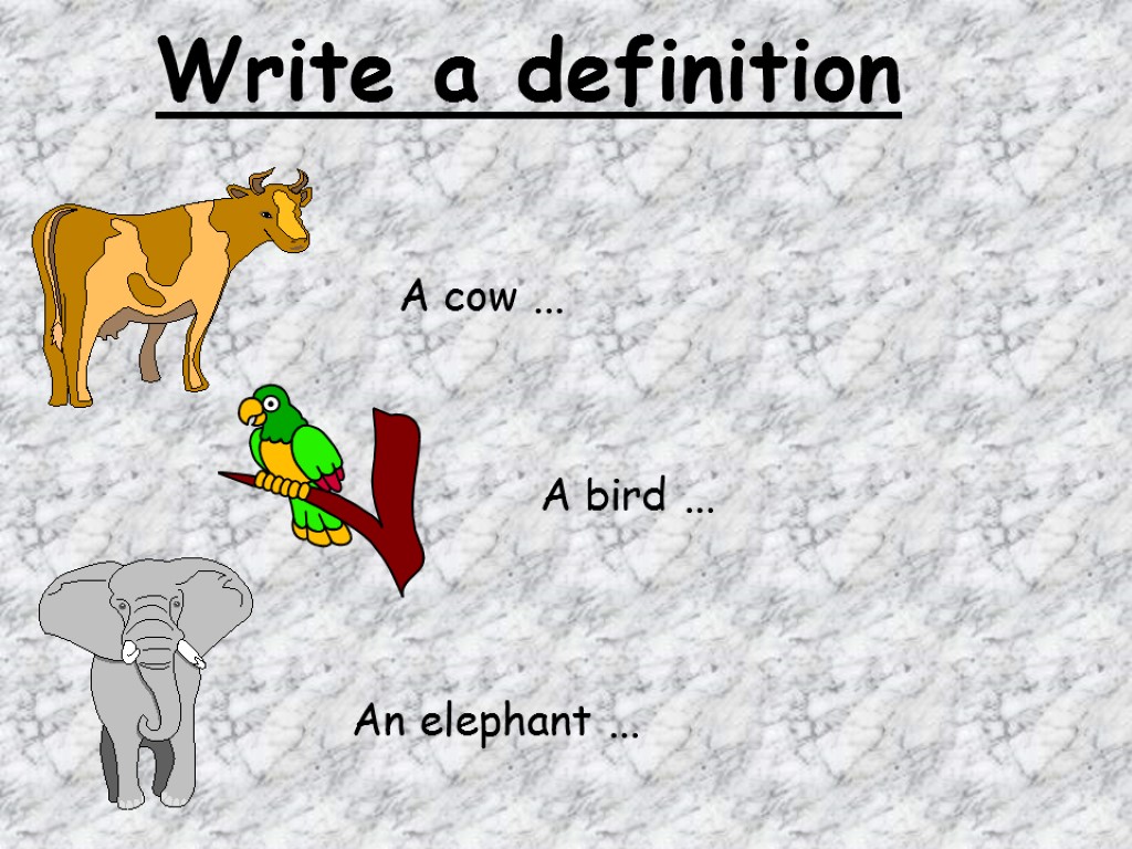 Write a definition An elephant ... A bird ... A cow ...